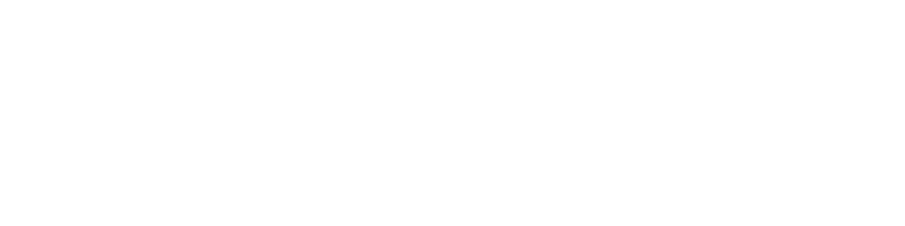 SNA-wordmark-WHITE-transparent-1500x250
